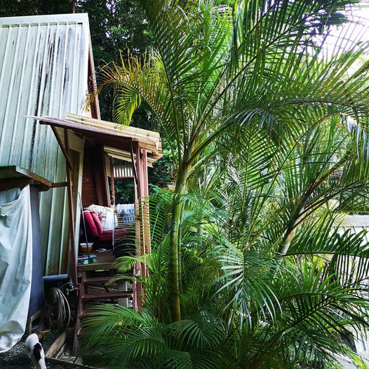 279624205_7375289635876713_6078815149895371902_n