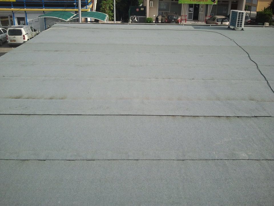 118764539_1798184733679716_5003169736323309029_n