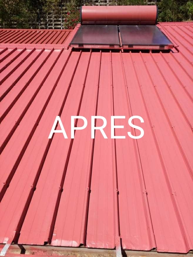 118765383_1798184407013082_1265994065026412771_n