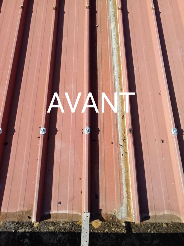 118792383_1798184340346422_796746365653072462_n