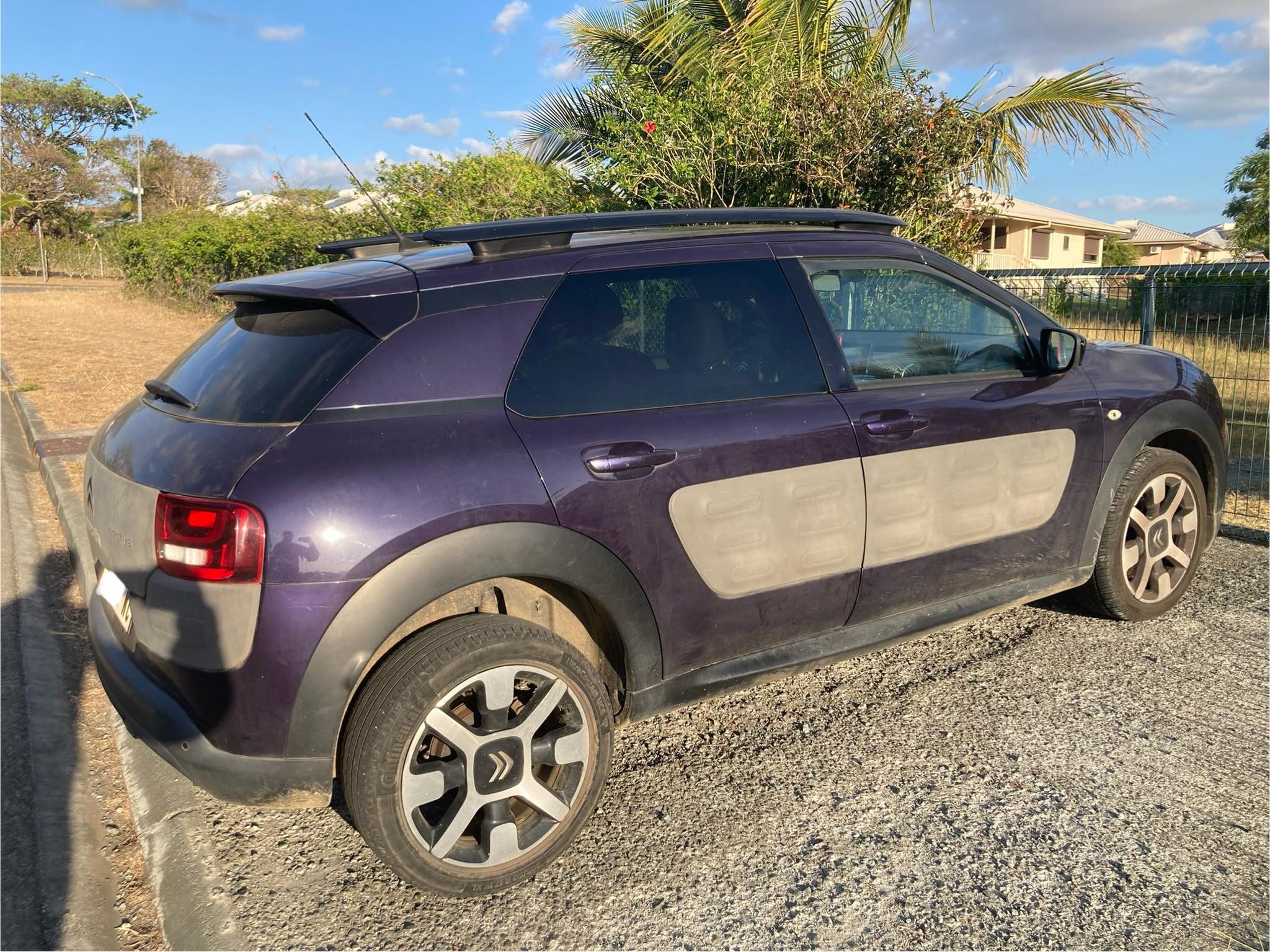 received_431373549313879