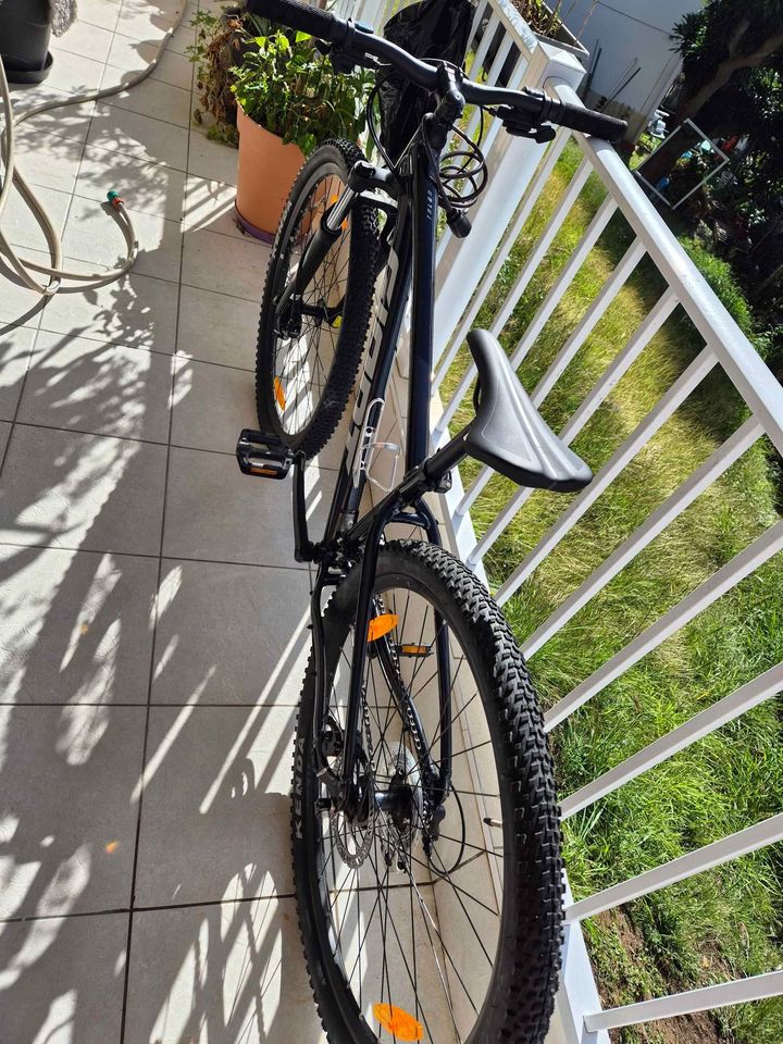 454523369_1537868167095879_6789846730510520123_n