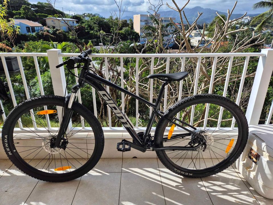 454649690_1049313249884748_5109992280536483632_n