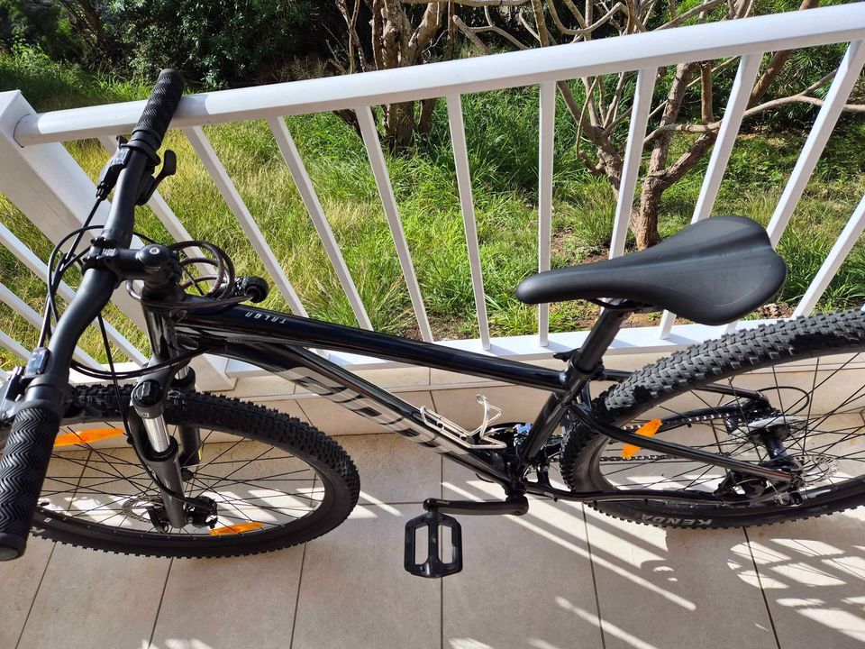 454704425_1031227725109878_5926367806476287416_n