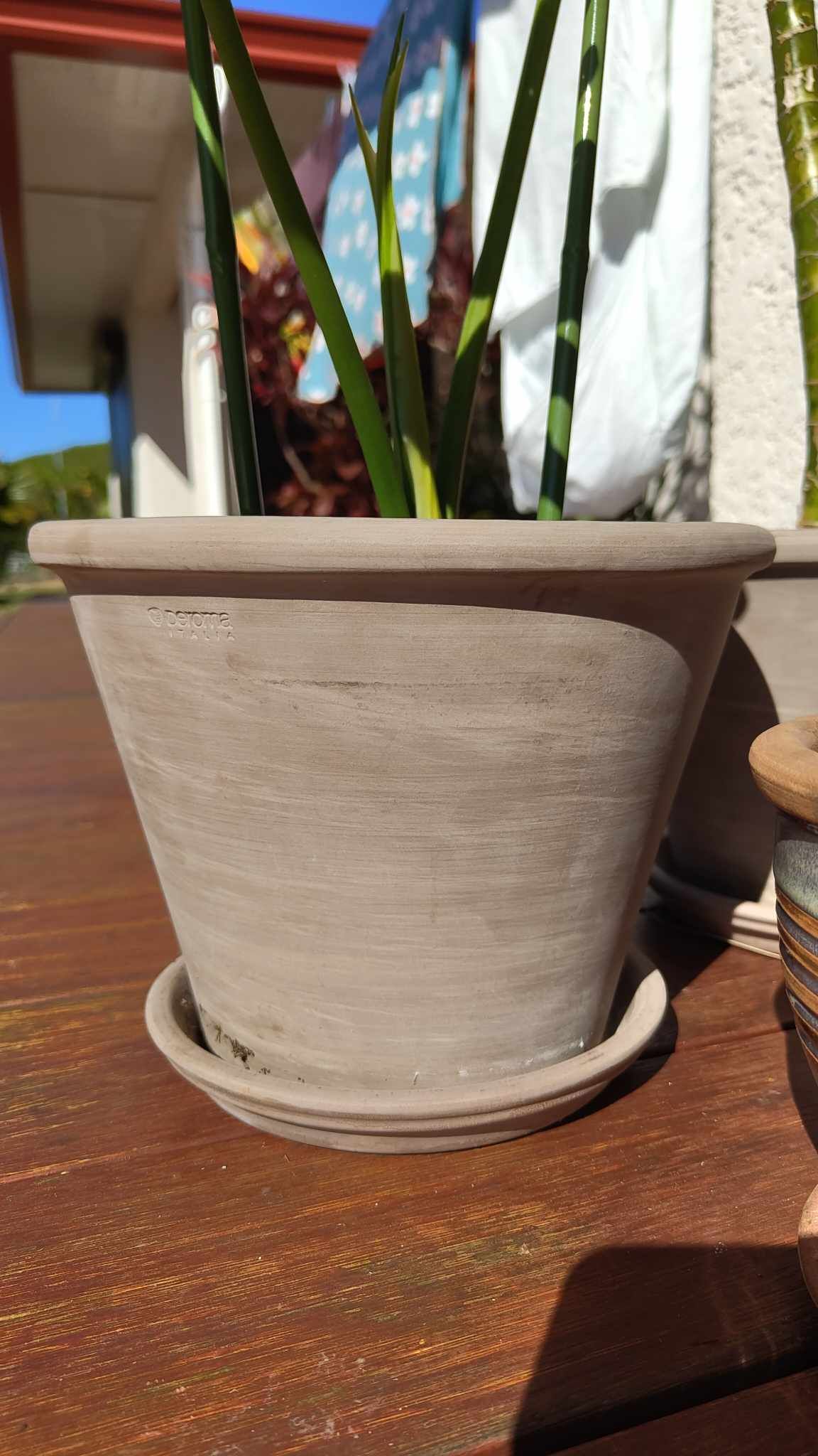 455102149_307831435753689_8576447038961379448_n