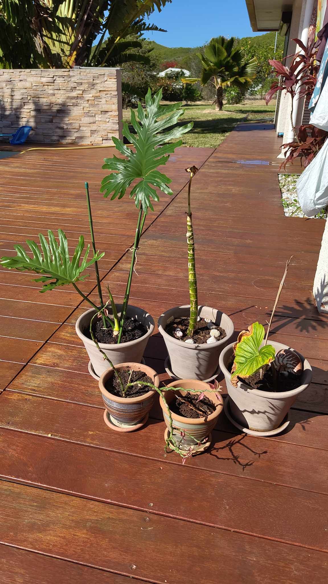 457277434_2376337082758344_4817188040262924279_n